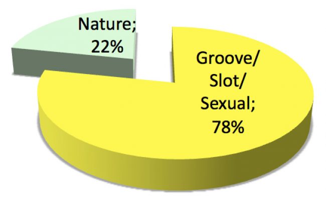 mao-卯-semantic-pie-chart-showing-percentages-of-meaning mao-卯-semantic-pie-chart-showing-percentages-of-meaning